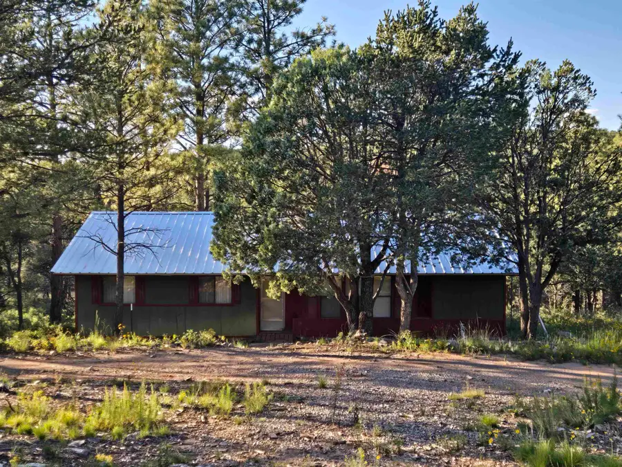 150 Bronco DR, Timberon, NM 88350 - #2