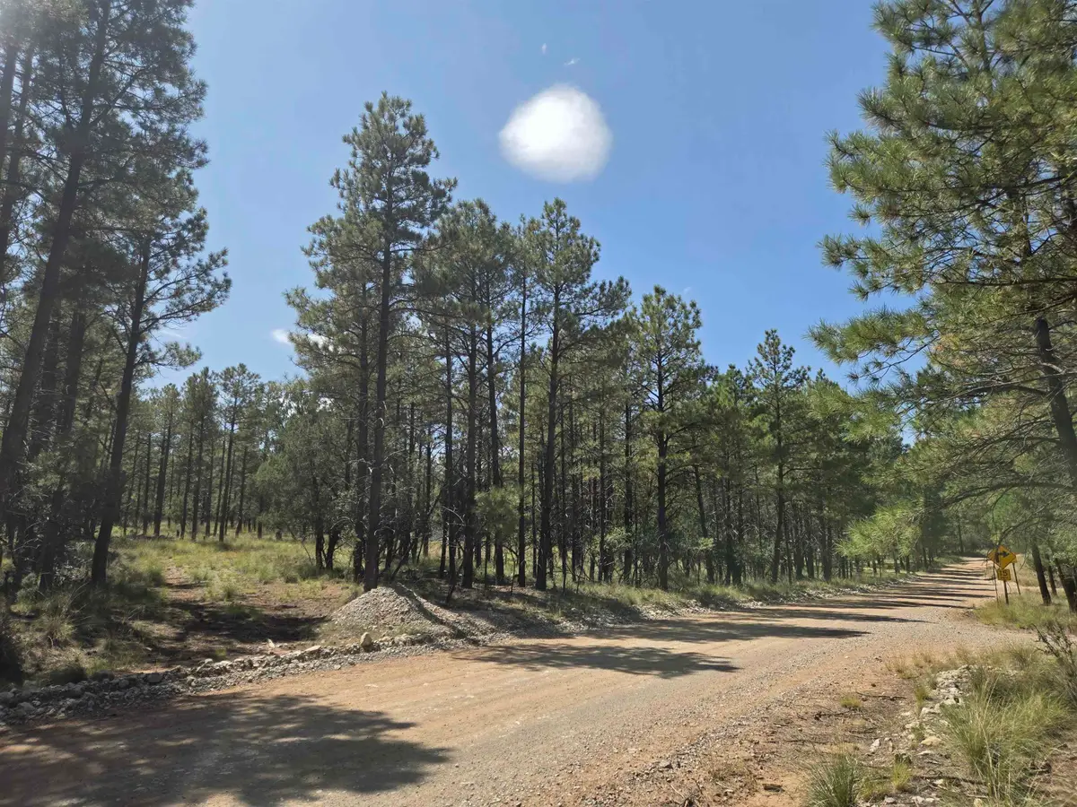 Tonto Dr, Timberon, NM 88350 - #1