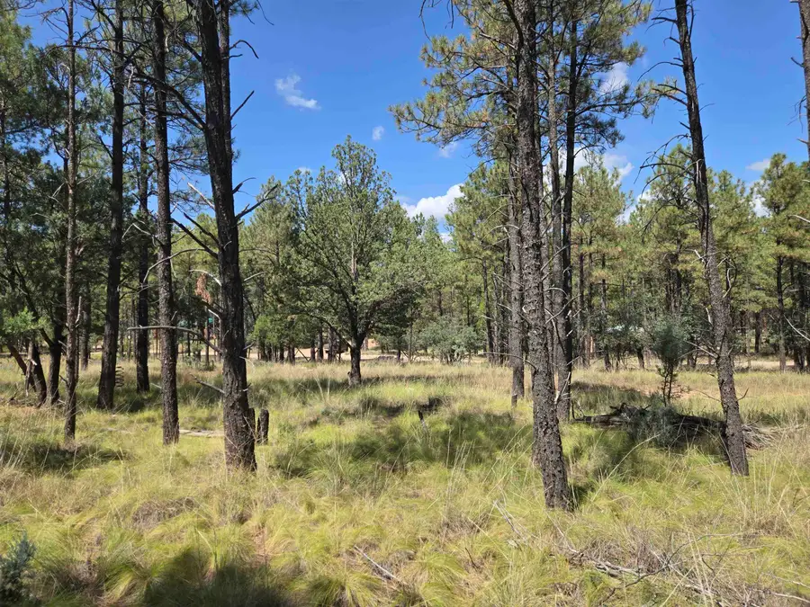 Tonto Dr, Timberon, NM 88350 - #2