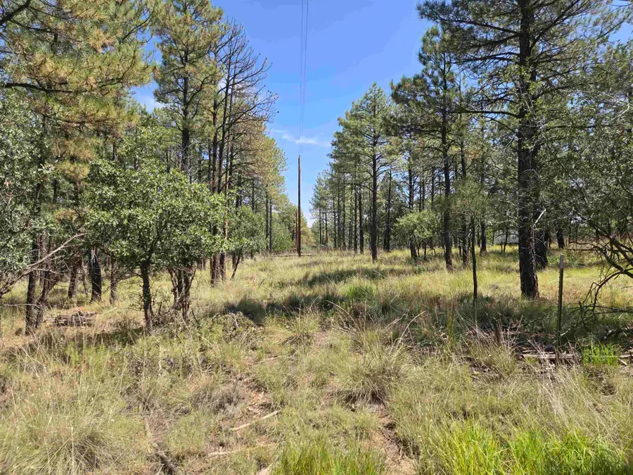 Tonto Dr, Timberon, NM 88350 - #3