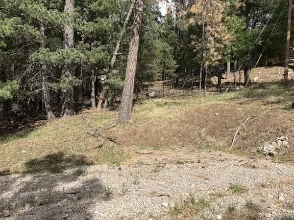Lot 10B S Blue Jay LN, Cloudcroft, NM 88317