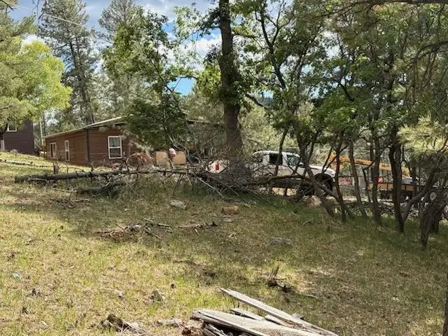 Lot 10B S Blue Jay LN, Cloudcroft, NM 88317 - #2