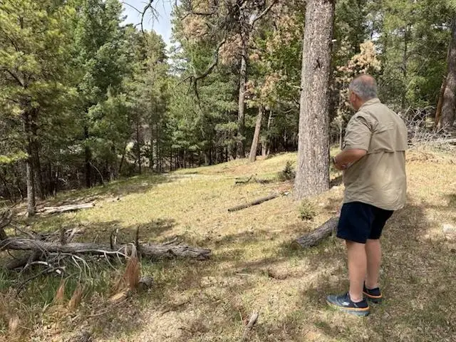 Lot 10B S Blue Jay LN, Cloudcroft, NM 88317 - #3