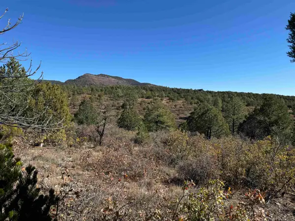 Kipling Dr, Timberon, NM 88350-0000