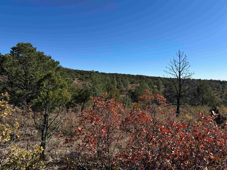 Kipling Dr, Timberon, NM 88350-0000 - #2