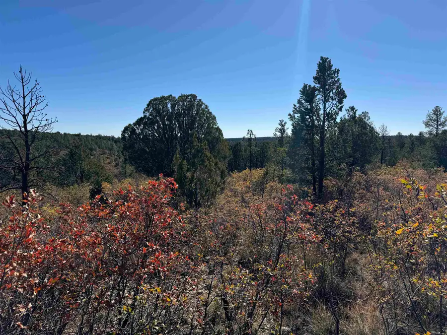 Kipling Dr, Timberon, NM 88350-0000 - #3