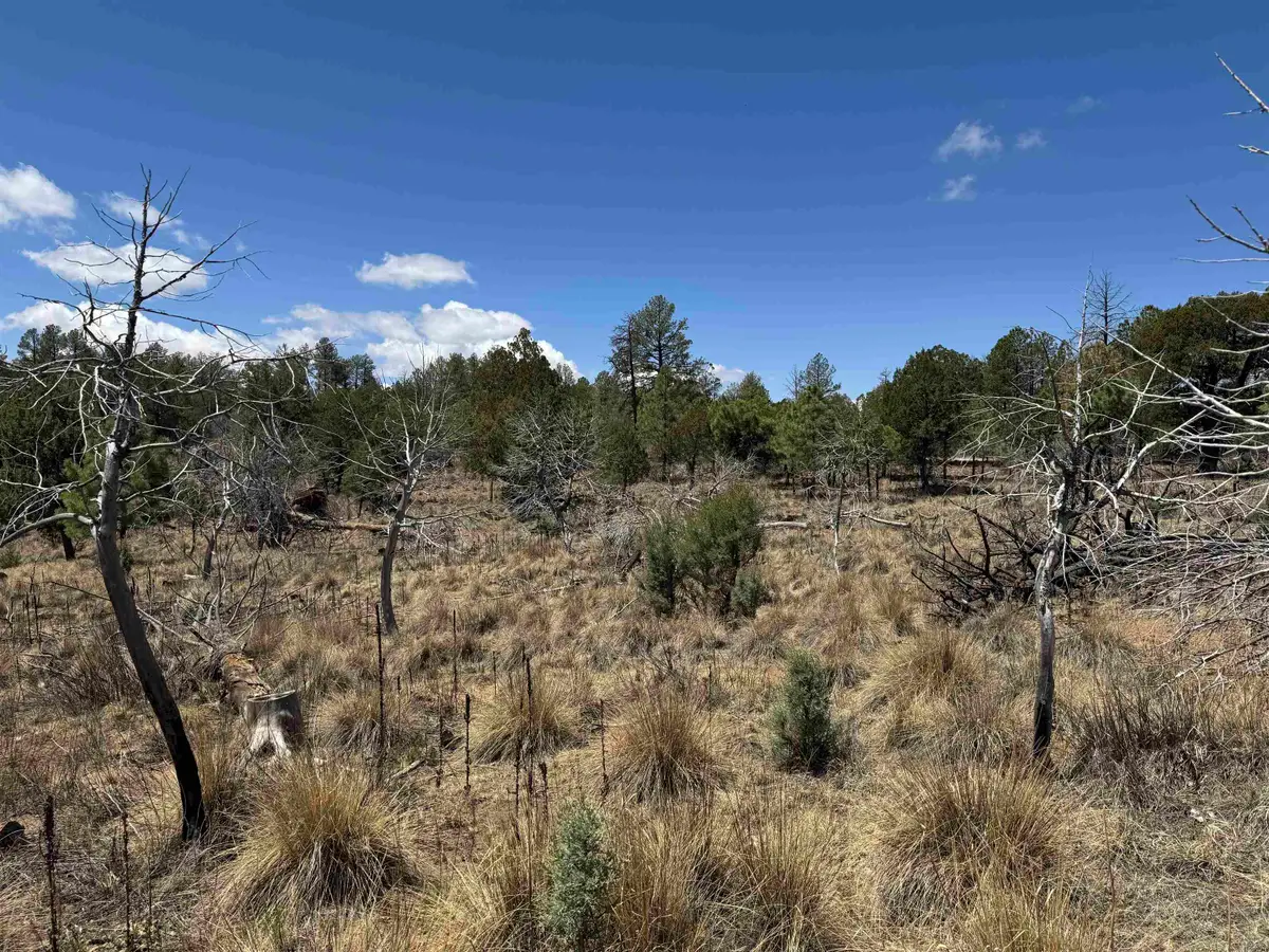 Waialae Dr, Timberon, NM 88350-0000 - #1