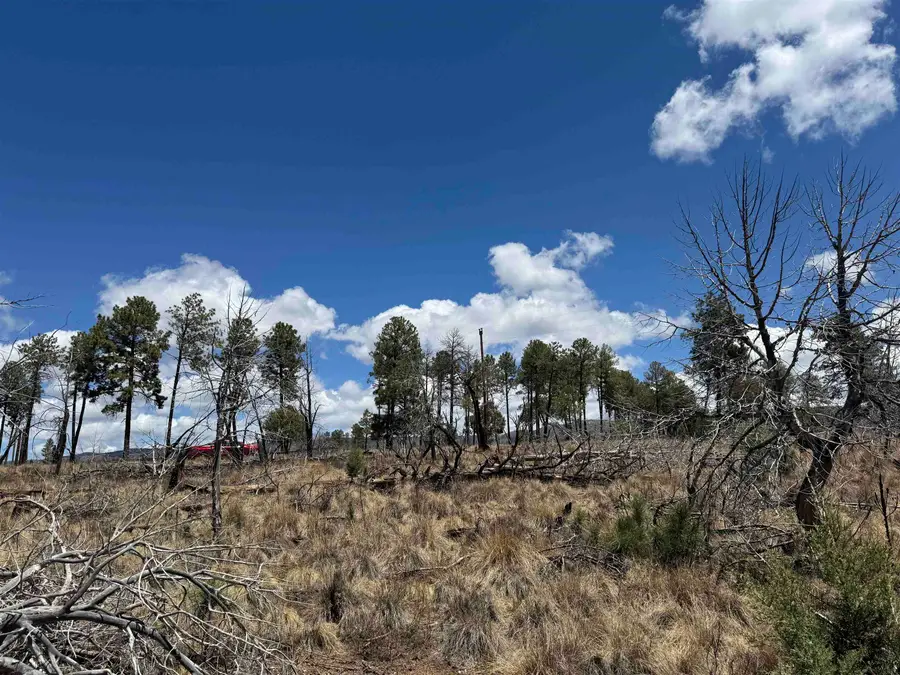 Waialae Dr, Timberon, NM 88350-0000 - #2