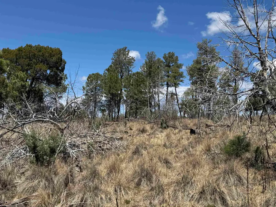 Waialae Dr, Timberon, NM 88350-0000 - #3