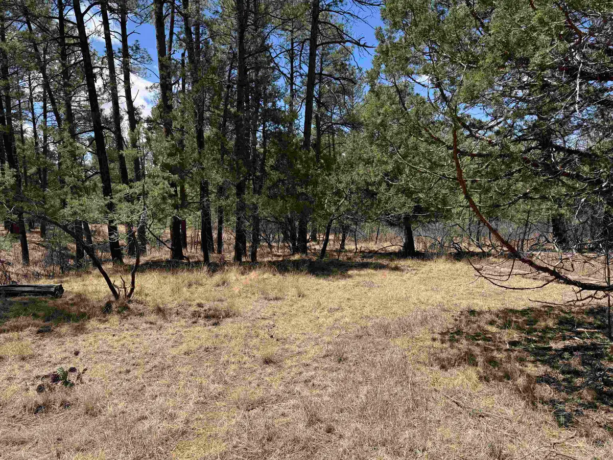 Oakmont DR, Timberon, NM 88350 - #1