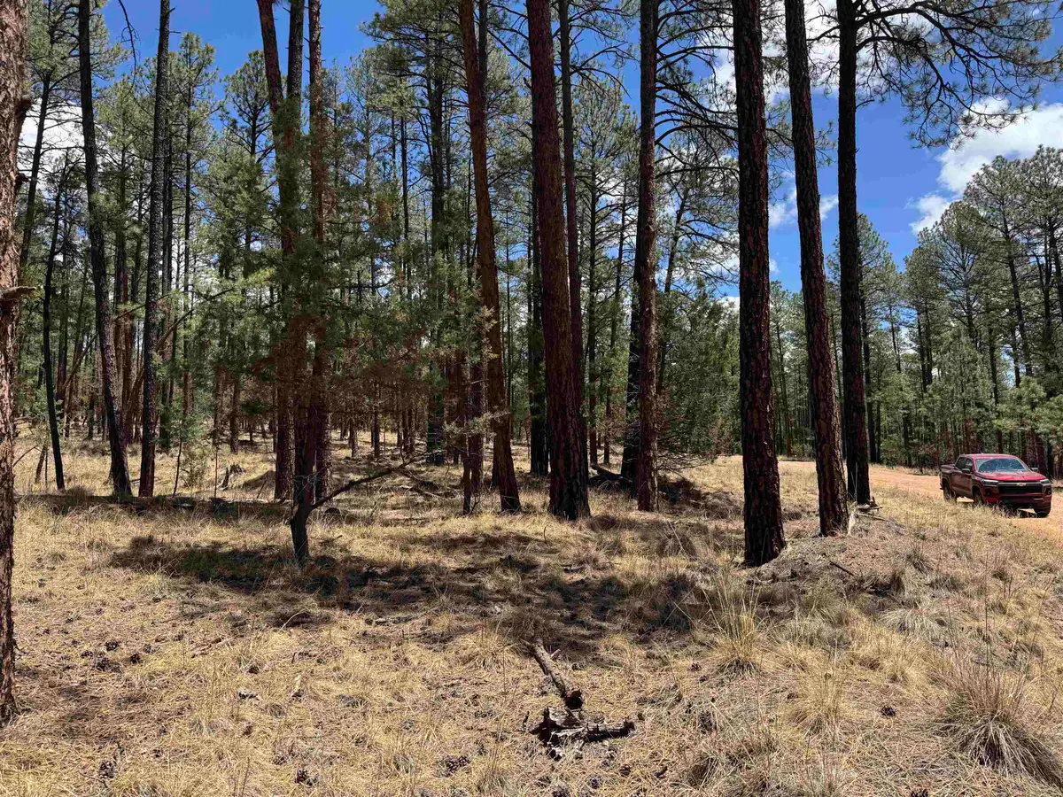 Balkans DR, Timberon, NM 88350 - #1