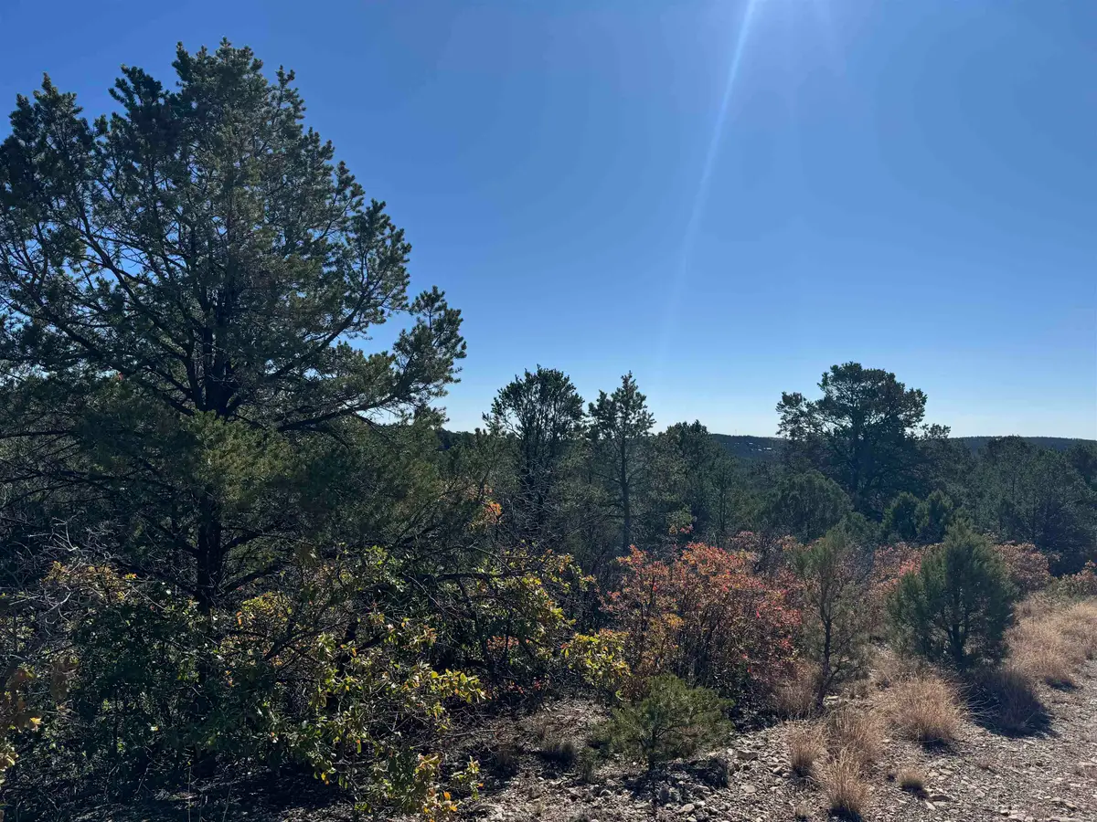 Wilde St, Timberon, NM 88350 - #1