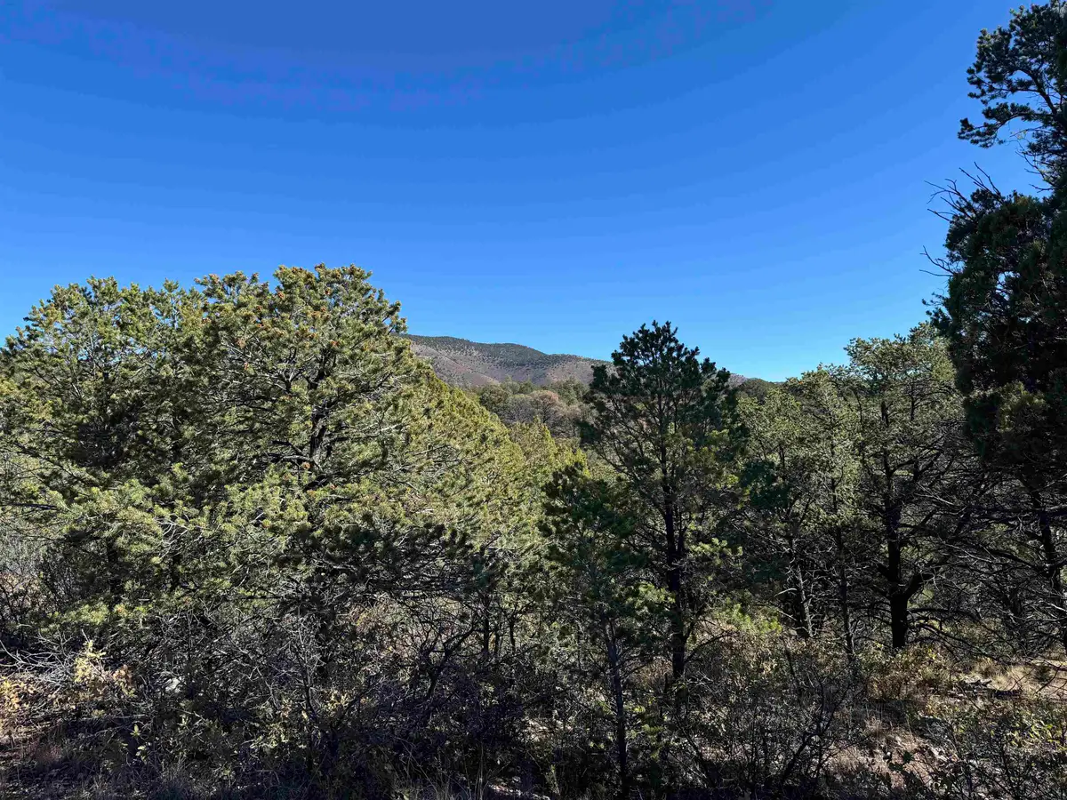 Wilde St, Timberon, NM 88350-0000 - #1