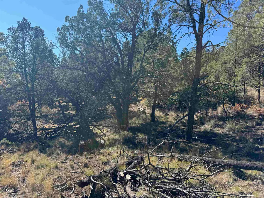 Wilde St, Timberon, NM 88350-0000 - #2