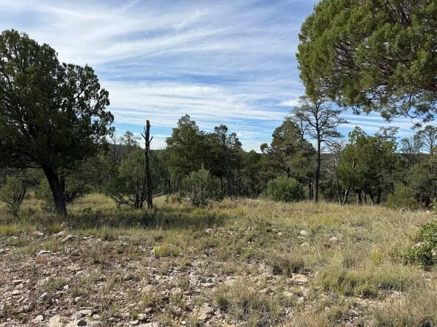 16 Bacon Dr, Timberon, NM 88350 - #2