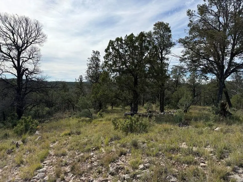 16 Bacon Dr, Timberon, NM 88350 - #3