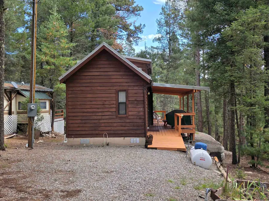 14 Pine Ridge Pl, Cloudcroft, NM 88317 - #3