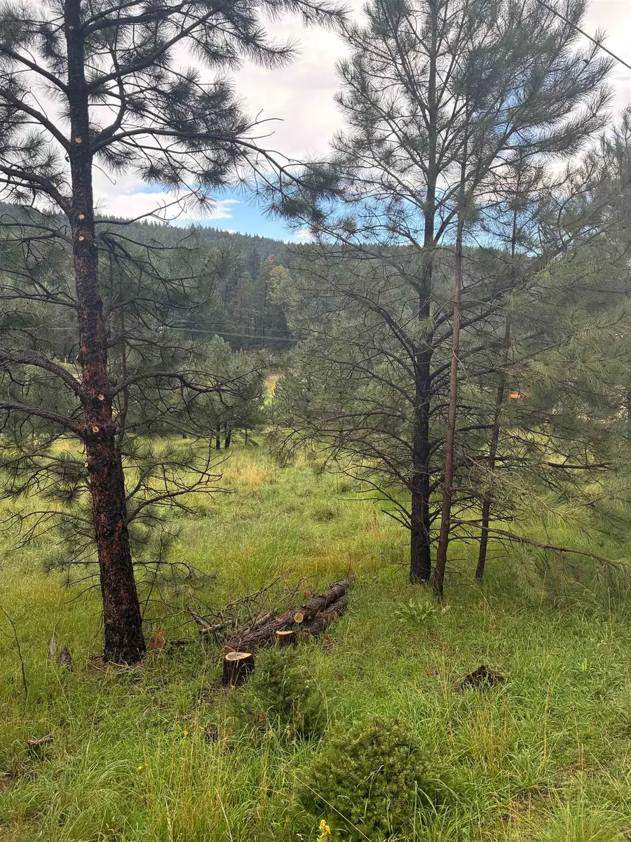 Trading Post Rd, Cloudcroft, NM 88317 - #2