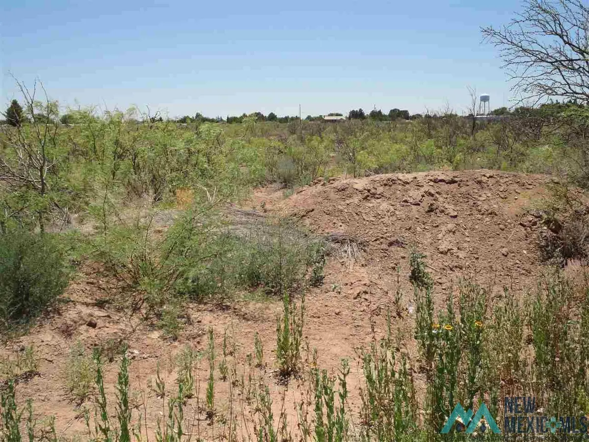 00000 Tennyson Street, Deming, NM 88030 - #1