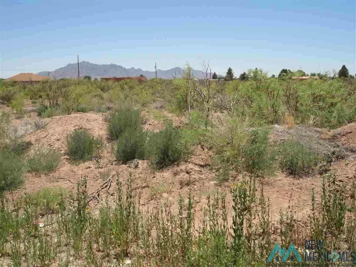 000-000 Shelly Street, Deming, NM 88030 - #1