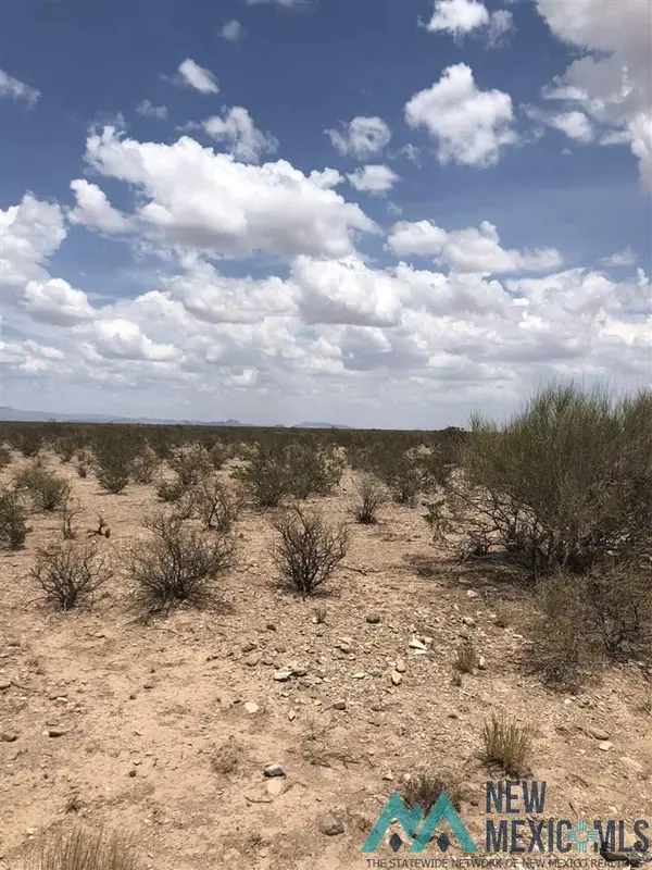 11 Upper Palomas Subdivision, Williamsburg, NM 87942