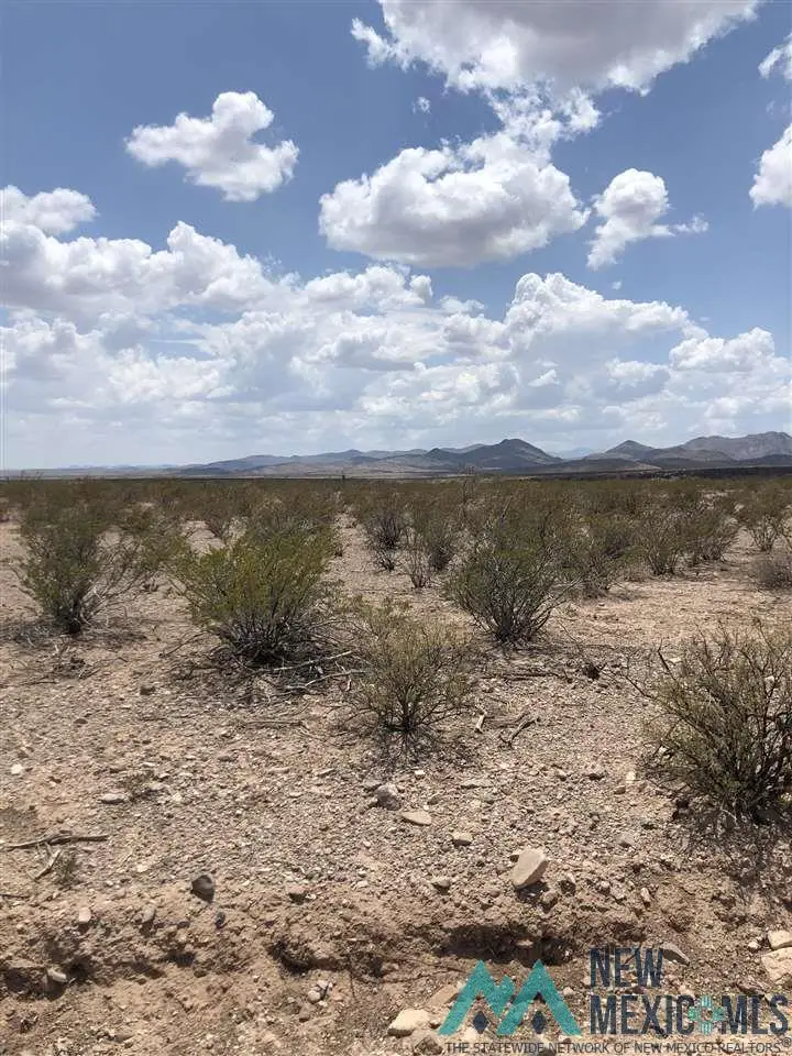 15 Upper Palomas Subdivision, Williamsburg, NM 87942 - #2