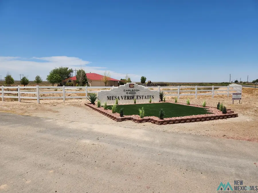 Lot 27B S Tagwood Lane, Carlsbad, NM 88220 - #2