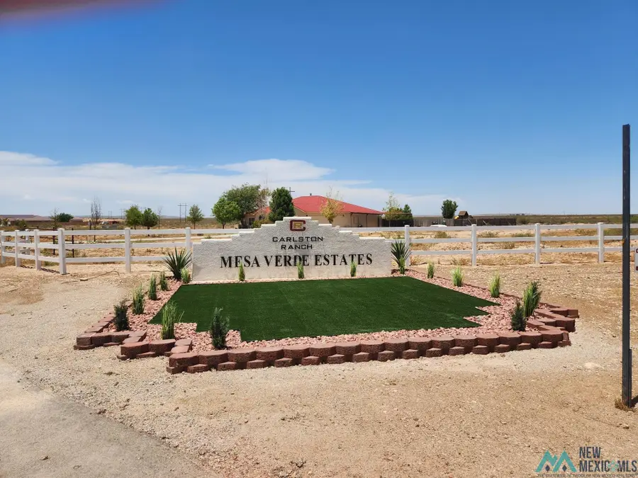 Lot 27B S Tagwood Lane, Carlsbad, NM 88220 - #3
