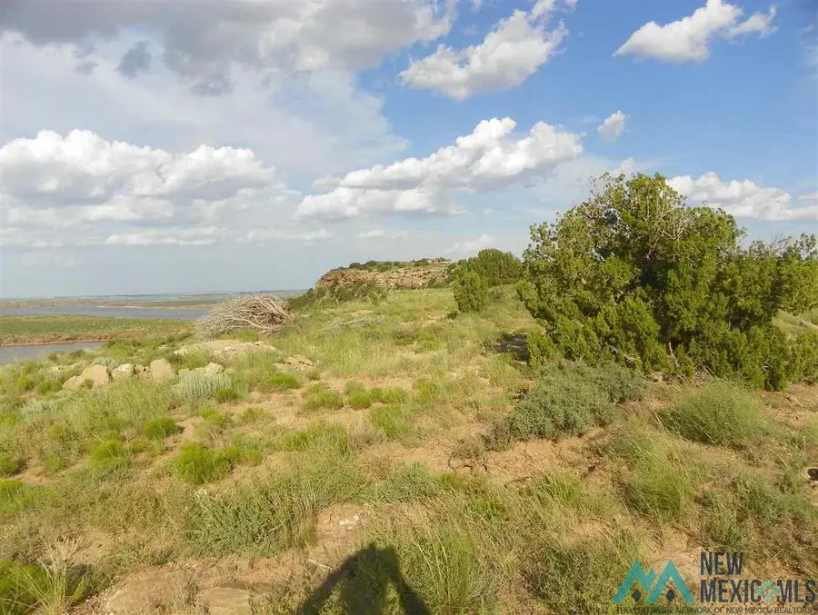 1 Quay Road Ai, Tucumcari, NM 88401 - #3