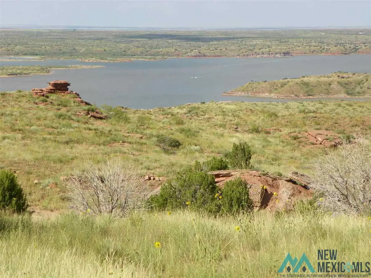6 Quay Road Ai, Tucumcari, NM 88401 - #1
