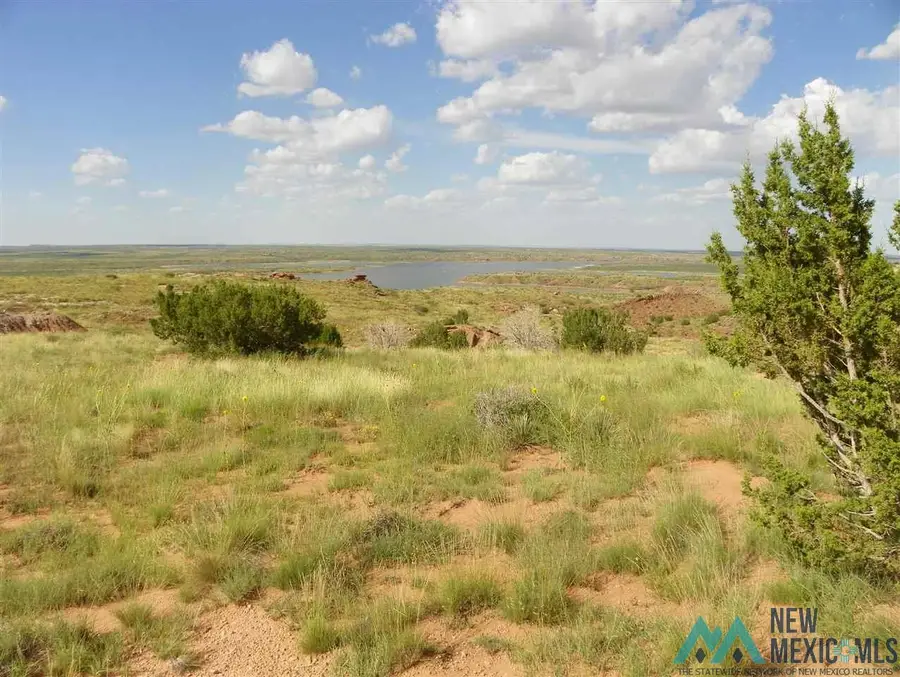 6 Quay Road Ai, Tucumcari, NM 88401 - #3