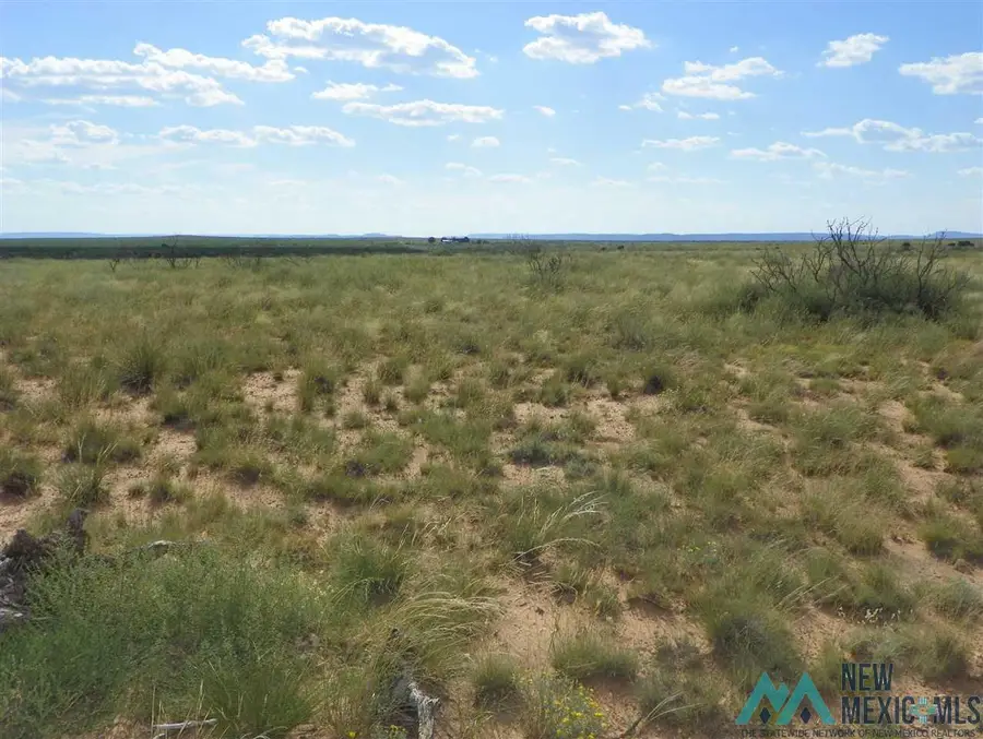8 Quay Road Ai, Tucumcari, NM 88401 - #2