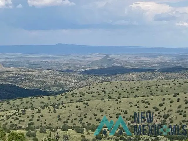 123 Ridge View Road, Magdalena, NM 87825 - Image #1