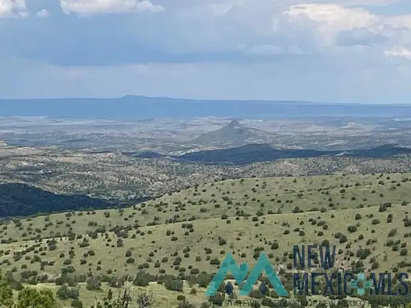 123 Ridge View Road, Magdalena, NM 87825