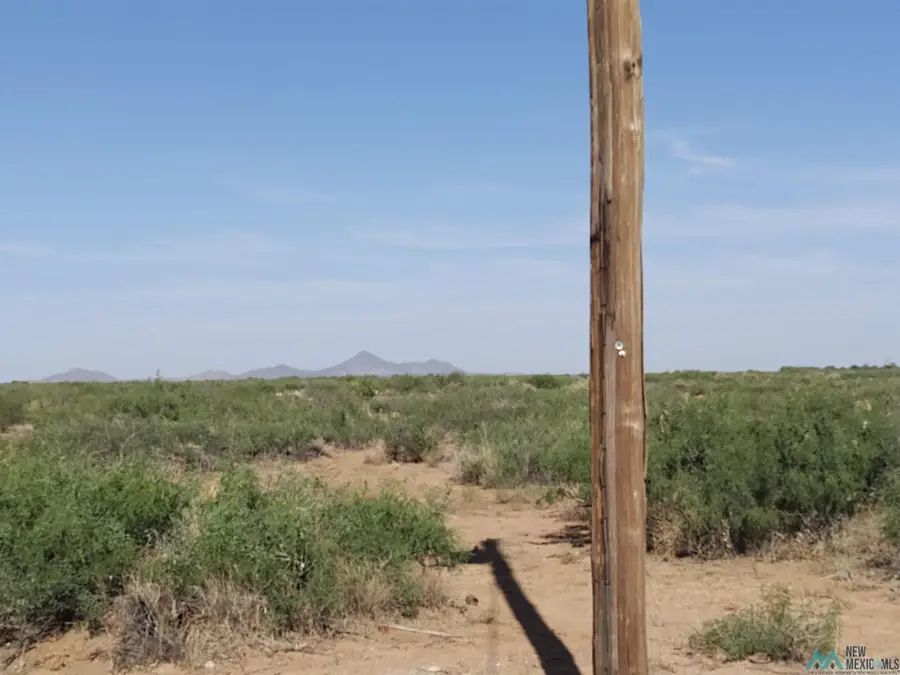 000 SW Pelayo Road, Deming, NM 88030 - Image #2
