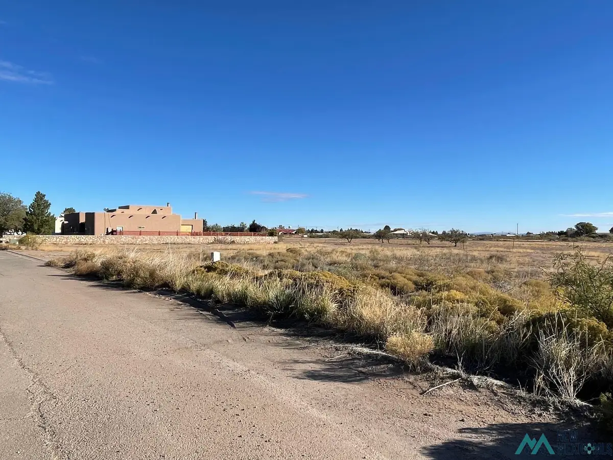 Appaloosa Drive Sw, Deming, NM 88030 - Image #1