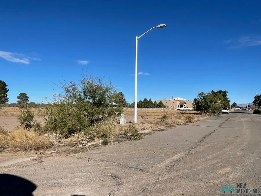 Appaloosa Drive Sw, Deming, NM 88030 - Image #3