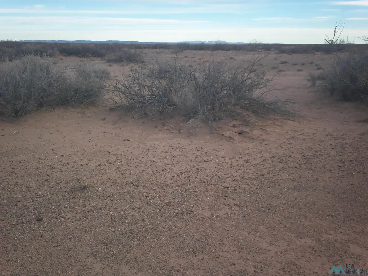 XXXX Cobre Road Se Road, Deming, NM 88030 - #1