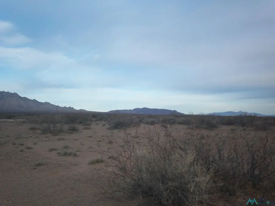 XXXX Cobre Road Se Road, Deming, NM 88030 - #3