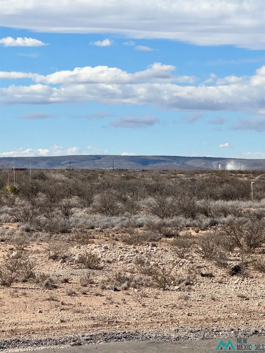 21 S Tagwood, Carlsbad, NM 88220 - #3