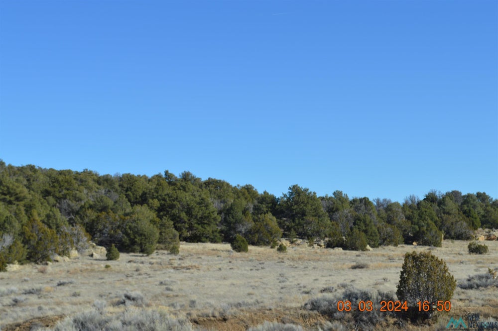 TBD Sierra De Manana Drive, Candy Kitchen, NM 87321 BHGRE
