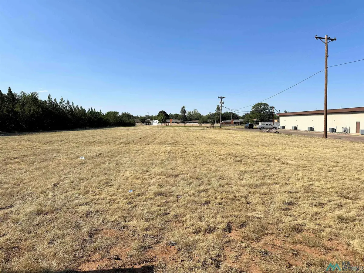914 W 21st Street, Clovis, NM 88101 - Image #1