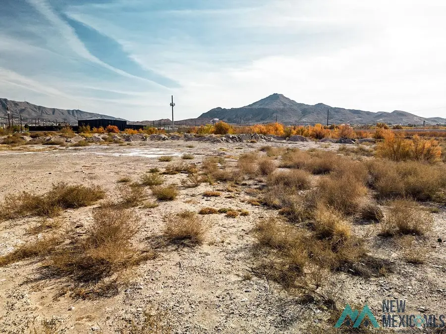 1705 Appaloosa Drive, Sunland Park, NM 88063 - Image #3