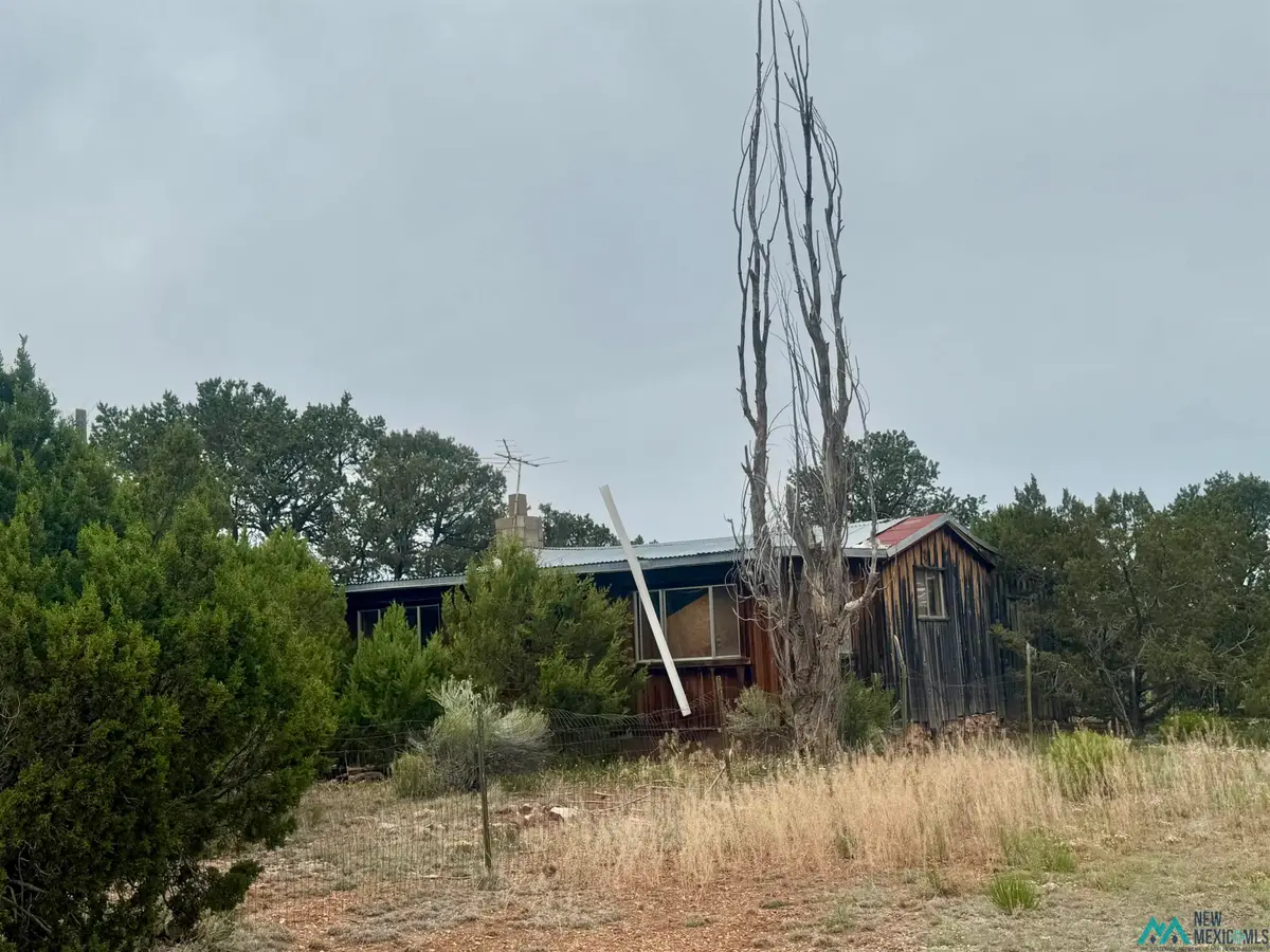 4 Dorothy Drive, Stoneridge, NM 87045 - Image #1