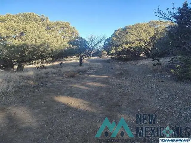 #3