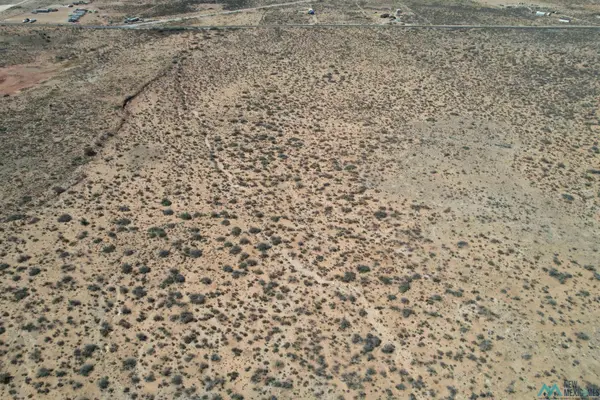 East of 185 Illinois Camp Road, Carlsbad, NM 88220