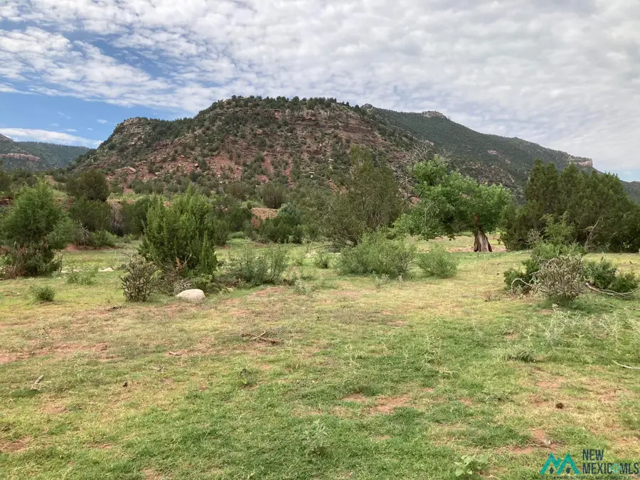 1 Canyon Largo Canyon, Trementina, NM 87746 - #3