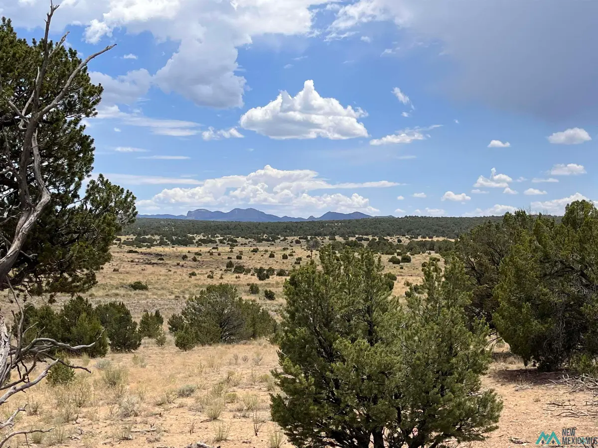 Ponderosa Ranch, Pie Town, NM 87827 - #1