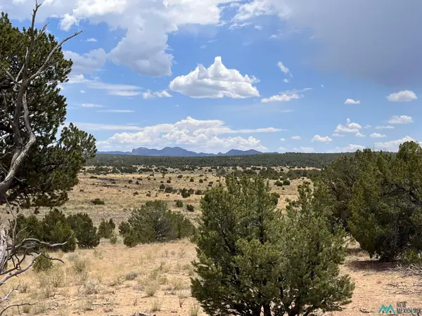 Ponderosa Ranch, Pie Town, NM 87827