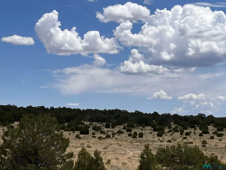 Ponderosa Ranch, Pie Town, NM 87827 - #2